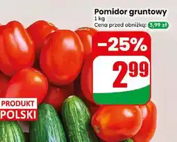 Dino Pomidor gruntowy polski oferta