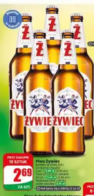 Dino Piwo Żywiec oferta