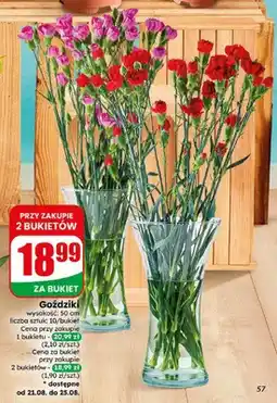 Dino Goździki 10-pak wysokość 50 cm oferta