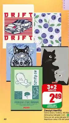Dino Zeszyt Herlitz oferta