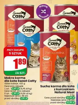 Dino Mokra karma dla kota Sweet Catty z rybą oferta