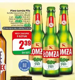 Dino Piwo Łomża Pils oferta