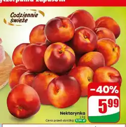 Dino Nektarynka oferta