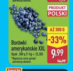 ALDI Borówki amerykańskie XXL oferta