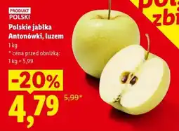 Lidl Polskie jabłka Antonówki, luzem oferta