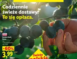 Lidl Polskie śliwki, luzem oferta