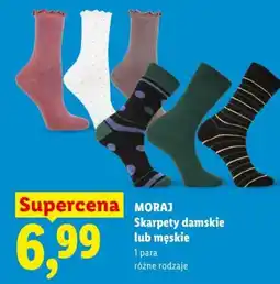 Lidl Skarpety damskie lub męskie oferta
