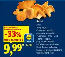Lidl Kurki oferta