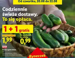 Lidl Polskie ogórki zielone oferta