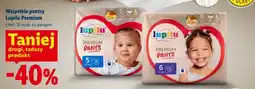 Lidl Lupilu Premium Wszystkie Pantsy oferta