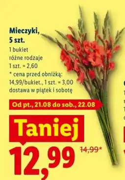 Lidl Mieczyki oferta