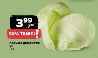 Netto Kapusta gołąbkowa oferta