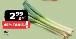 Netto Cebula oferta