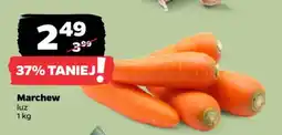 Netto Marchew luz oferta
