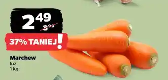 Netto Marchew luz oferta