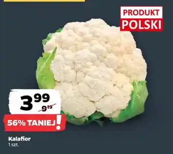 Kalafior