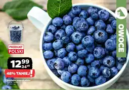 Netto Borówka amerykańska oferta