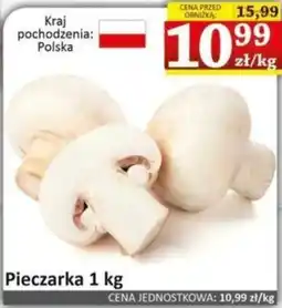 Marmax Pieczarka oferta