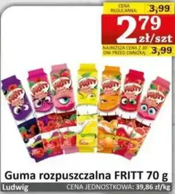 Marmax Guma rozpuszczalna FRITT oferta