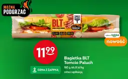 Żabka Bagietka BLT Tomcio Paluch oferta
