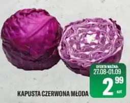 TomiMarkt Kapusta Czerwona Młoda oferta