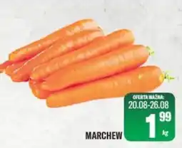 TomiMarkt Marchew oferta