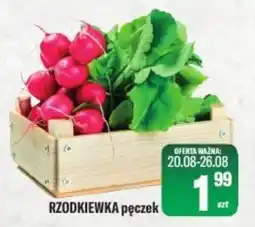 TomiMarkt RZODKIEWKA pęczek oferta
