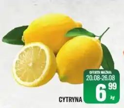 TomiMarkt Cytryna oferta