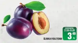 TomiMarkt Śliwka Fioletowa oferta