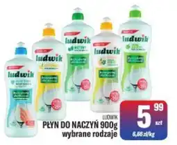 TomiMarkt Płyn do naczyń oferta
