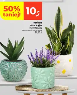 Dealz Doniczka dekoracyjna oferta