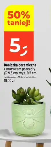 Dealz Doniczka ceramiczna oferta