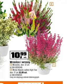 OBI Wrzosiec oferta