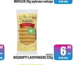 TomiMarkt Biszkopty Ladyfingers Andante oferta