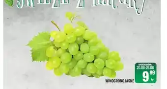 TomiMarkt Winogrono jasne oferta