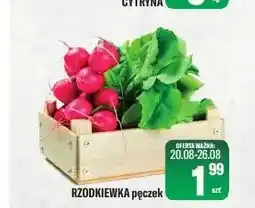 TomiMarkt Rzodkiewka pęczek oferta
