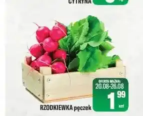TomiMarkt Rzodkiewka pęczek oferta