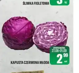 TomiMarkt Kapusta czerwona młoda oferta