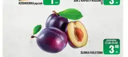 TomiMarkt Śliwka fioletowa oferta