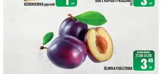 TomiMarkt Śliwka fioletowa oferta