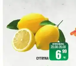 TomiMarkt Cytryna oferta