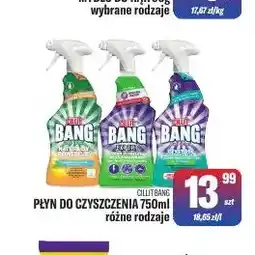 TomiMarkt Płyn do czyszczenia Cillit Bang oferta