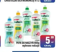 TomiMarkt Płyn do naczyń Ludwik oferta