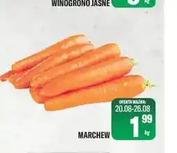 TomiMarkt Marchew oferta
