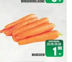 TomiMarkt Marchew oferta