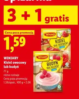 Lidl Budyń Winiary oferta