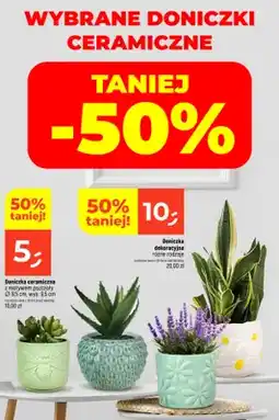Dealz Doniczka ceramiczna z motywem pszczoły Ø9,5 cm oferta