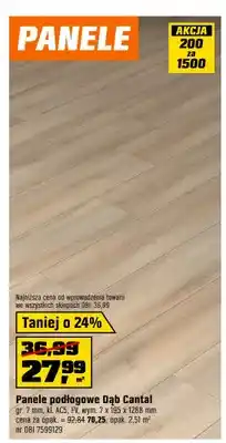 OBI Panele podłogowe Dąb Cantal oferta