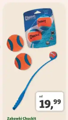 Maxi Zoo Zabawki dla psa Chuckit! oferta