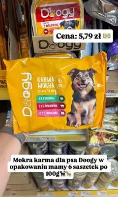 Dino Mokra karma dla psa Doogy oferta